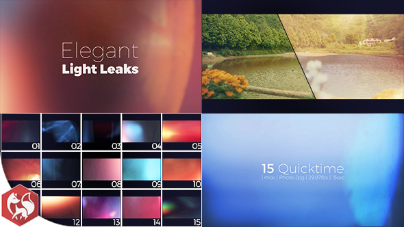 Elegant Light Leaks alt