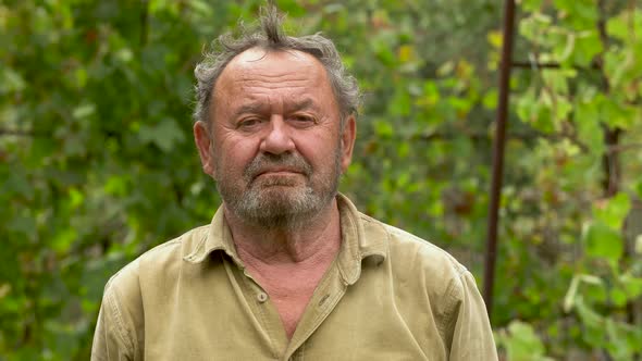 Closeup portrait of an elderly man with a beard