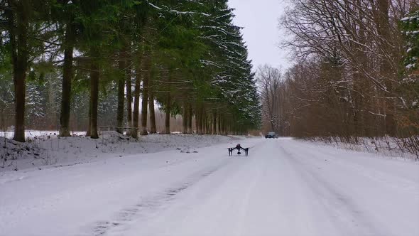 Drone stands on road. View of drone with camera standing on road