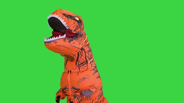 A Man Dressed in a Funny Blowup Dinosaur Costume Appearing and Dancing on a Green Screen Chroma Key