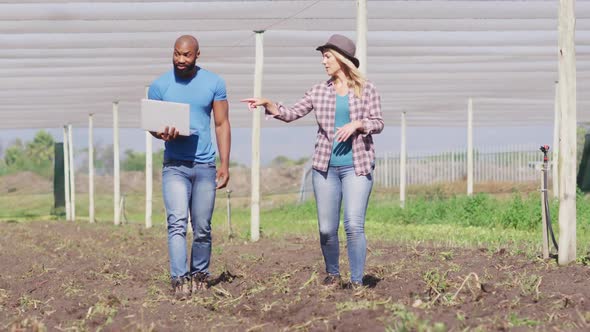 Video of diverse woman and man with laptop walking in greenhouse