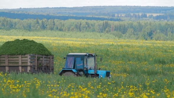 Tractor In Field Russia