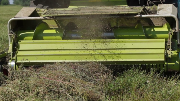 Farmer Combain Harvesting In Field