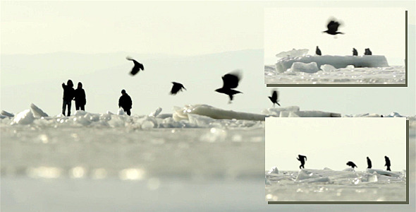 People and Birds on the Ice