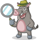 Gray Wild Pig Mascot Set - GraphicRiver Item for Sale