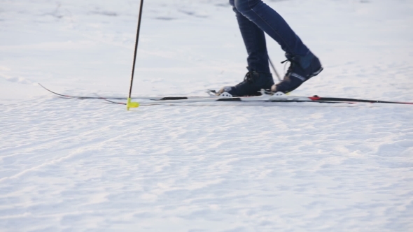 Cross-Country Skiing On Field