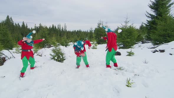 Happy elves playing in the snow