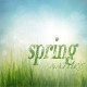 Nature Spring Backgrounds with Bokeh Effect vol.2 - GraphicRiver Item for Sale