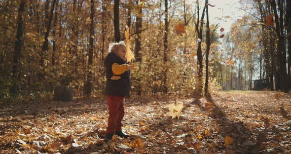 Boy Alone Stands in Autumn Park on Yellow Fallen Leaves and Hands Trying To Catch a Leafy Autumn in