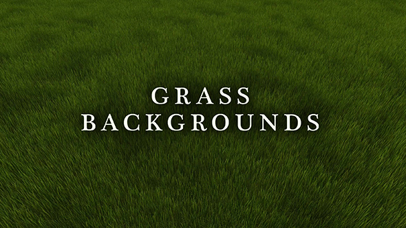 Grass Backgrounds