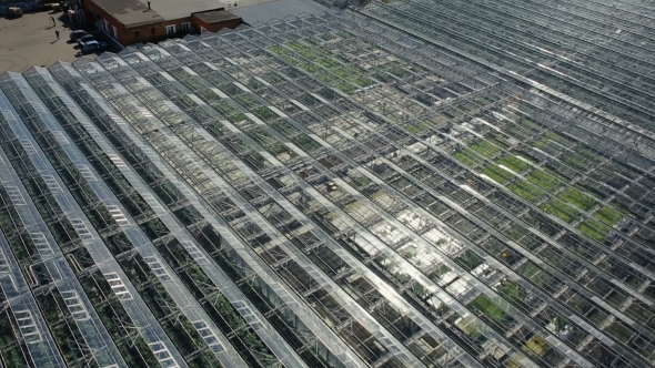 Agricultural Industry Greenhouse