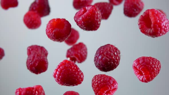 Ripe Raspberries Bouncing Up on a White Background