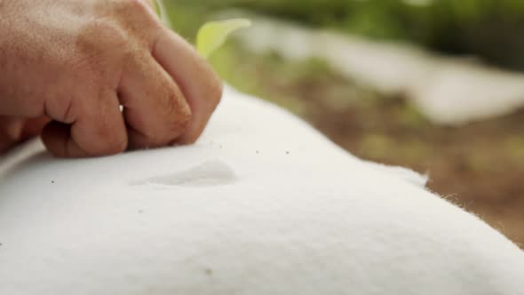 Macro shot of farmer hand planting a small plant inside a detached substrate bag