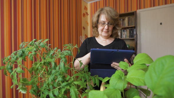 Woman Or Gardener With Tablet Pc Computer.