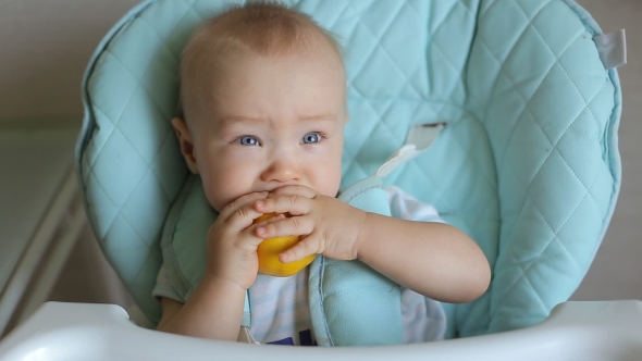 Adorable Baby Boy Eating Lemon