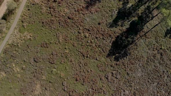 Top down view of dry moorland revealing a dirt road and bike path with two bikers passing each other