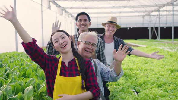 Hydroponics farm organic fresh harvested vegetables concept