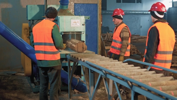 Three Men At The Sawmill Take Pine Logs After Cutting