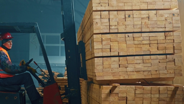 Trucks Transporting Blocks Of Wood