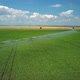 Irrigation System Is Watering Plants on Field, Aerial Shot - VideoHive Item for Sale