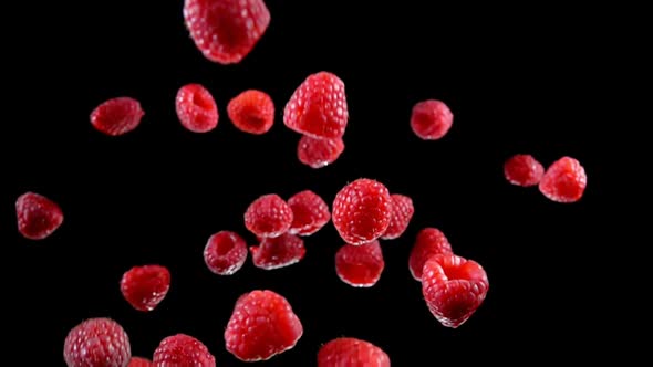 Red Ripe Delicious Raspberries are Bouncing on the Black Background