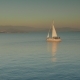 Sailing Yacht on the Horizon - VideoHive Item for Sale