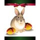 Easter Rabbit - GraphicRiver Item for Sale