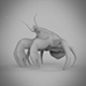 Coconut Crab - 3DOcean Item for Sale