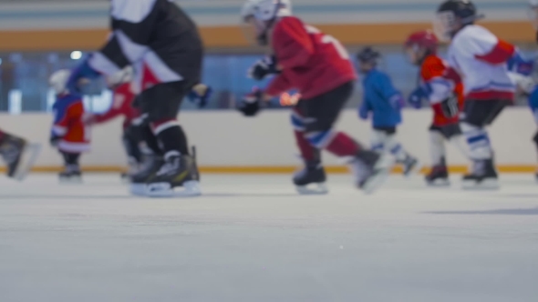 Young Hockey Players Cross The Ice Rink