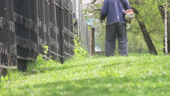 Gardener Mows The Lawn Mower Green Grass