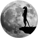 Jungle Logo