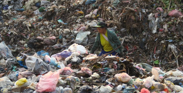 Woman Looking Food And Useful Items In Garbage