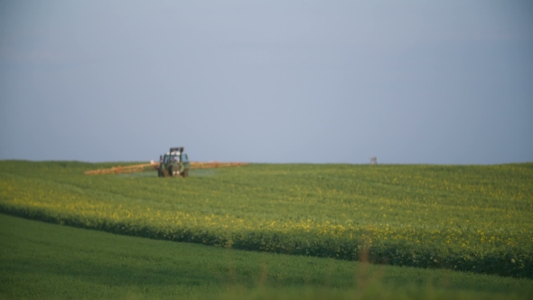 Tractor Spray Fertilize On Field With Chemicals In Agriculture Field.