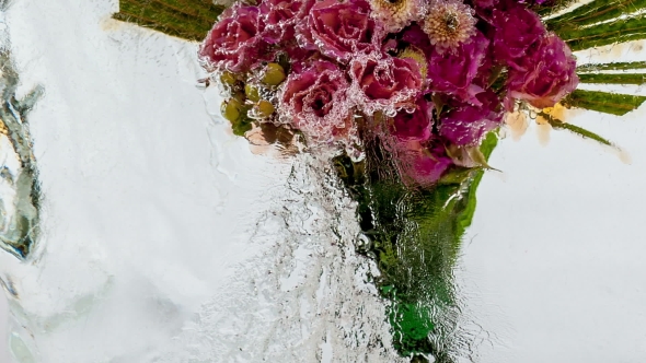 Frozen Flowers. Creative Abstract Bright Flowers And Ice With Air Bubbles.