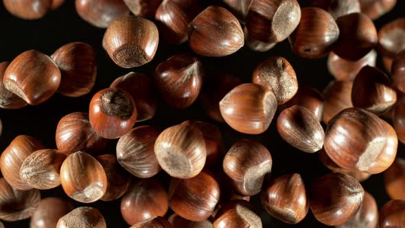 Super Slow Motion Closeup Shot of Flying Whole Hazelnuts Towards Camera on Black at 1000Fps