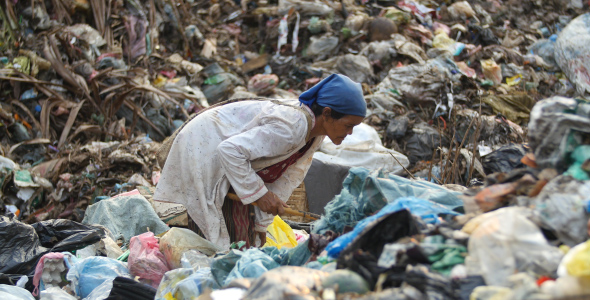 Woman Collects Items To Recycle On A Garbage Dump