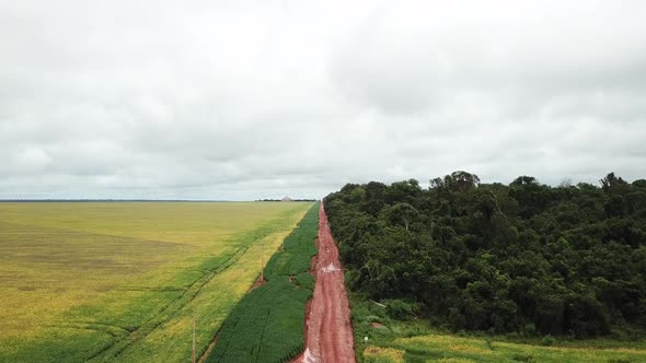 Aerial image shows the soybean plantation divided by a production flow road on one side and the Amaz