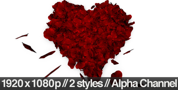 Rose Petals Fall into Heart Shape - Alpha Included