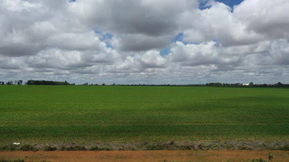 Huge field of soybeans planted on deforested land in the Brazilian savannah - pull back aerial view