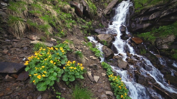 Beautiful Small Waterfall In Mountains