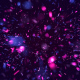 Crazy Particles - VideoHive Item for Sale