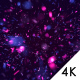 Crazy Particles - VideoHive Item for Sale