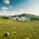 Natural Elegant Logo Animation 3 - VideoHive Item for Sale