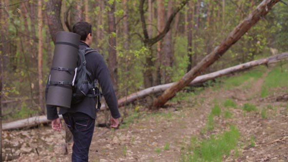 Tourist on a Walk in the Woods