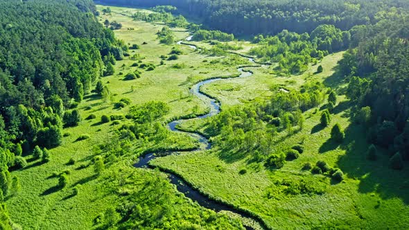 Stunning aerial view of river and green forest in summer