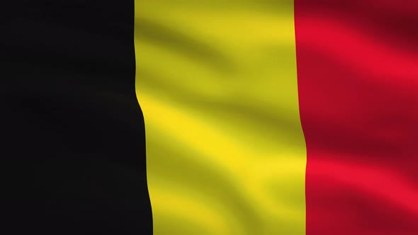 Belgium Windy Flag Background 4K