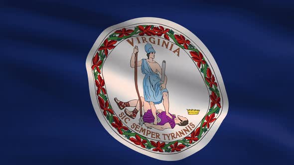 Virginia State Flag Background 4K