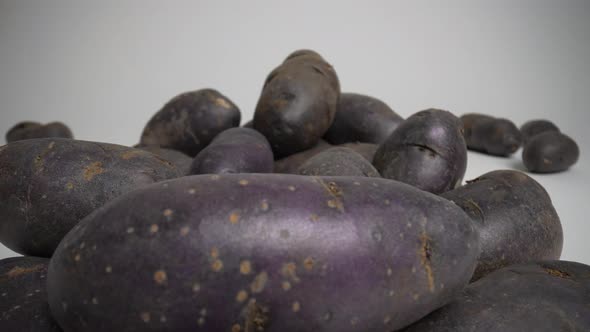 Purple Potatoes 47