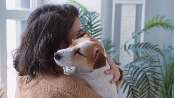 Portrait Jack Russell Dog in Arms Young Beautiful Woman European Appearance