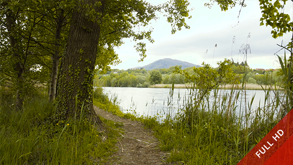 Wild Path by the River